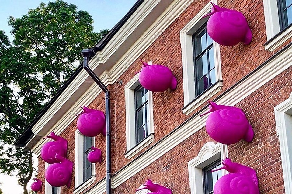 В Новой Голландии поселились гигантские розовые улитки. Фото: www.instagram.com/crackingart