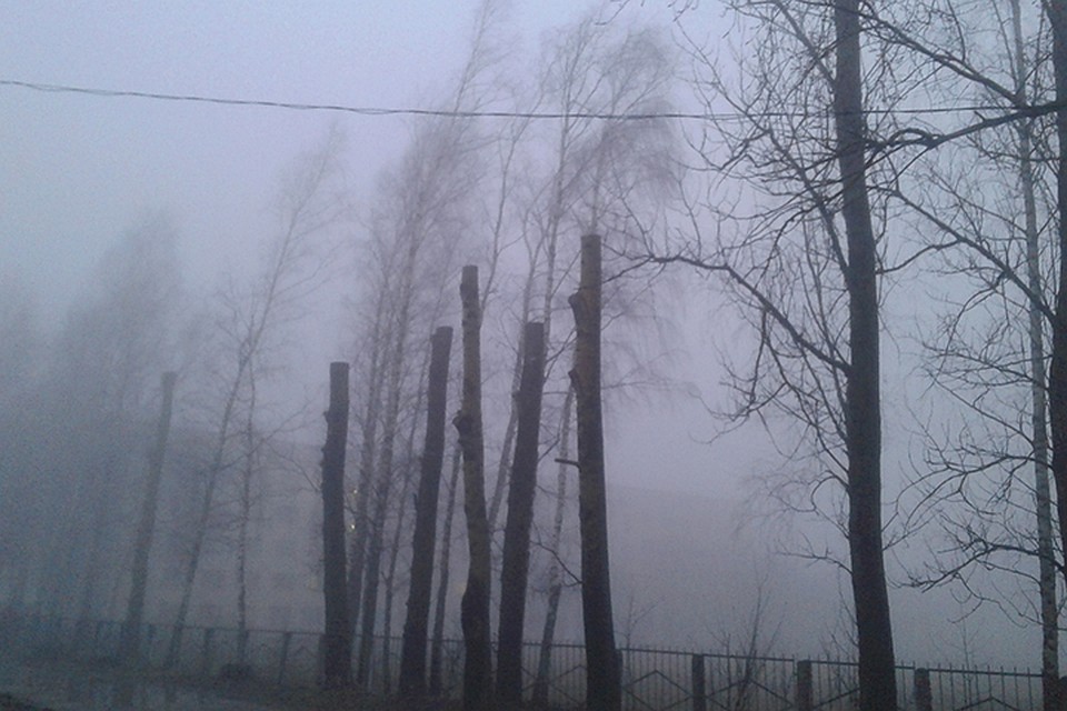 В четверг в Беларуси будут дожди, град, ветер.