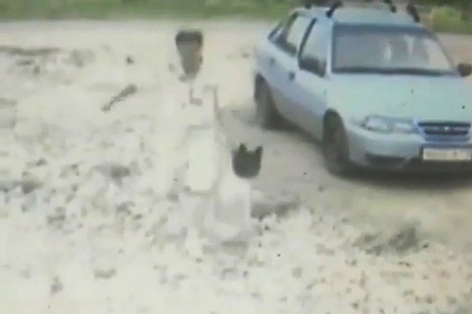 Фото: скриншот с видео