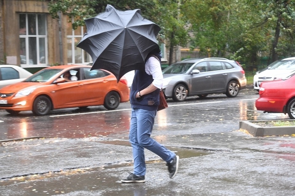 Погода в Хабаровске на 1 июля 2019 года: днем до +22, возможен кратковременный дождь
