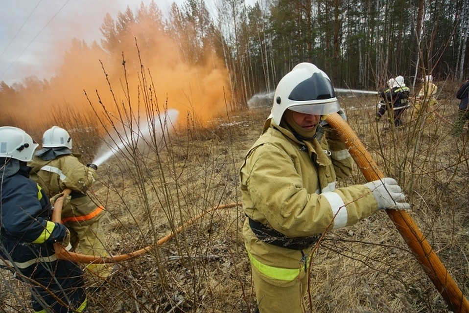 За месяц территория Воронежского заповедника горела три раза