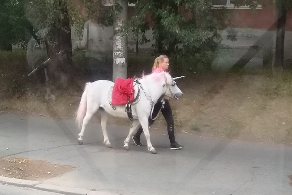 По улица Ижевска гуляет единорог! Фото: Маргарита Вахрушева