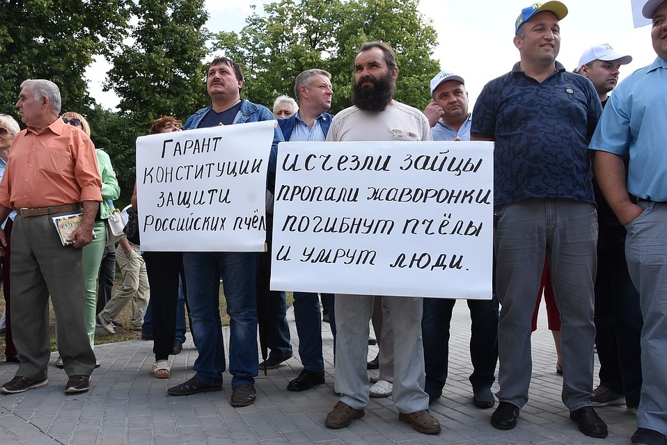 фото: пресс-служба Курской области.