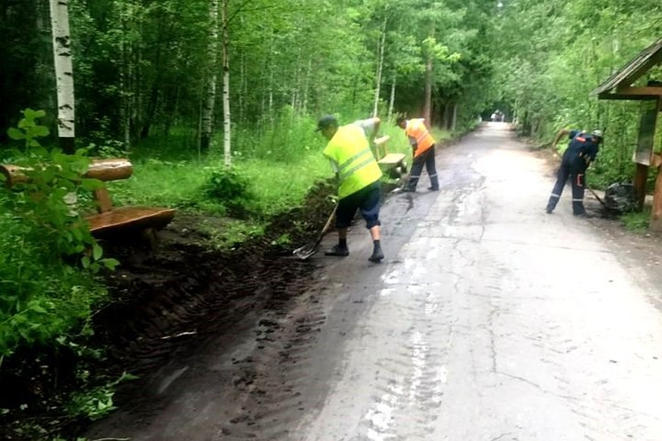 Вдоль дорожки установят опоры освещения. Фото: администрация Перми.