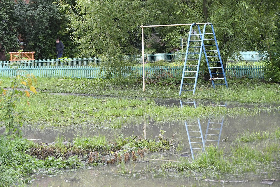 Фото: Алексей ФОКИН