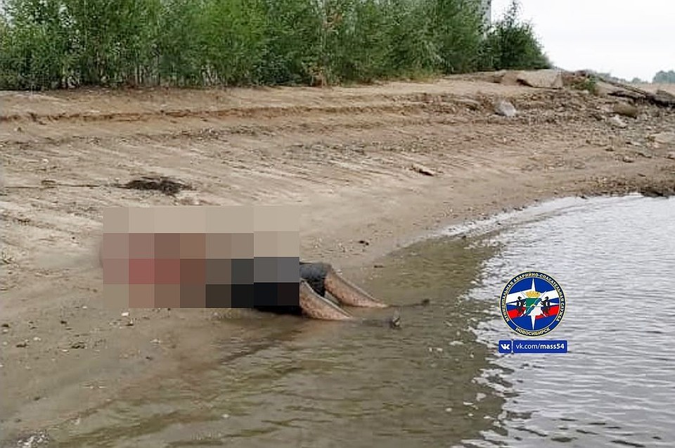 Дети пошли рыбачить и выловили из воды тело утопленника. Фото: МАСС.