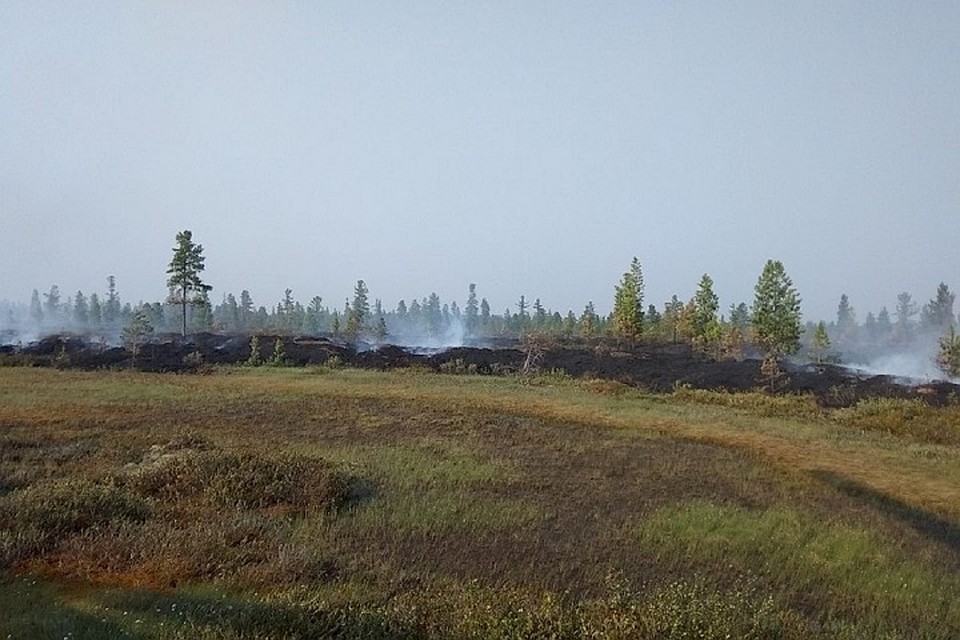 Под Ноябрьском на площади пять гектаров горит лес. Фото "Ямалспас"