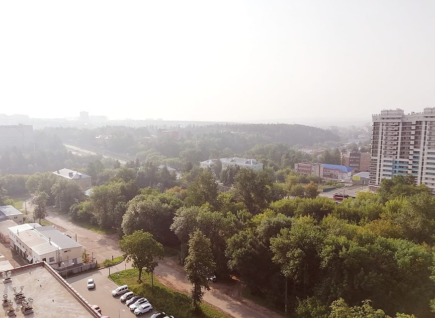 Фото: Алла Шумихина