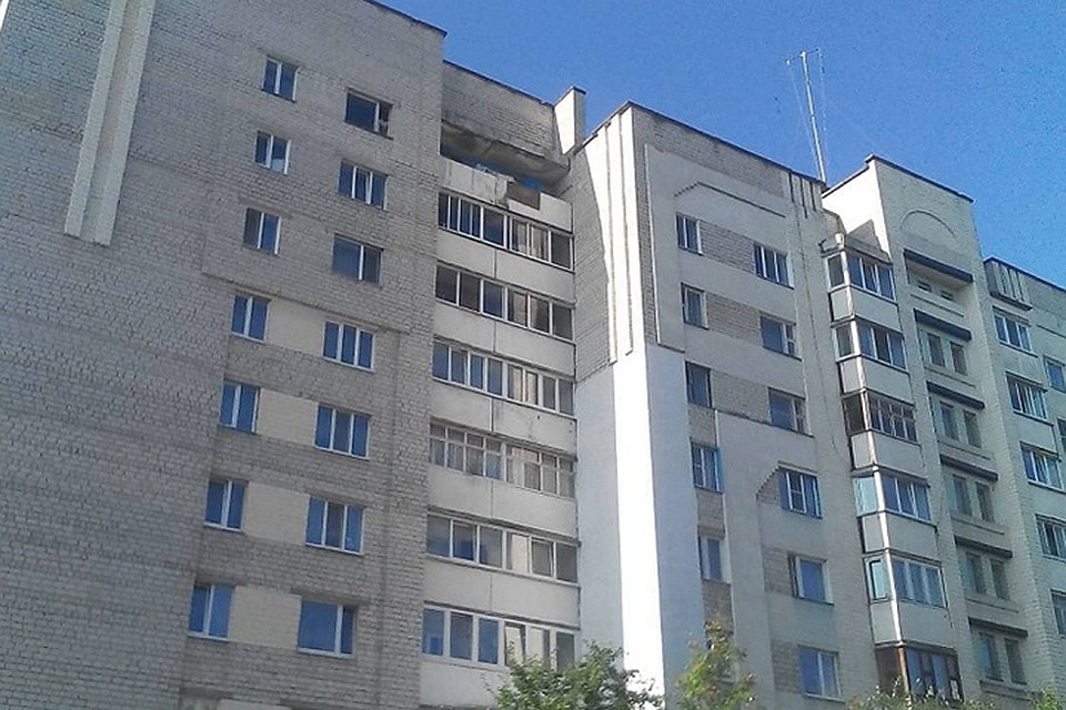 Пенсионер сбросил с девятого этажа двух кошек - они мяукали. Фото: Следственный комитет.