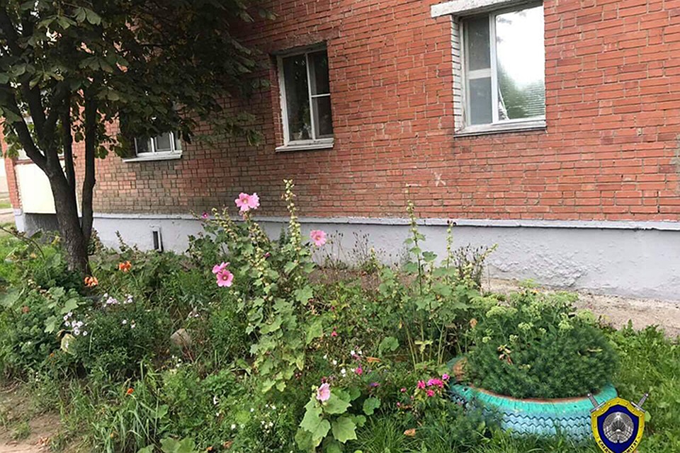 Мальчик выпал из окна, когда его родные ненадолго отлучились из квартиры. Фото: Следственный комитет.