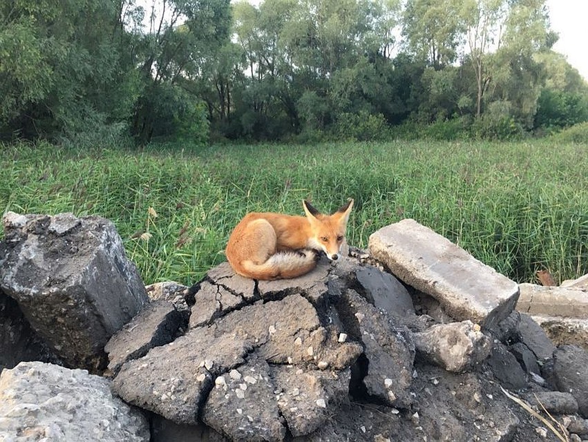 Фото: Юрий Хайров