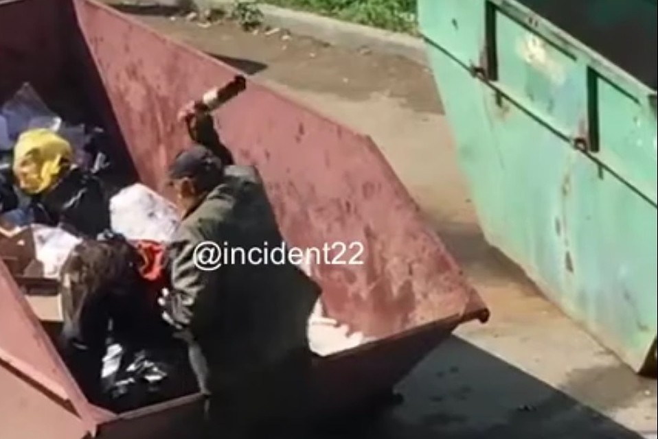 Фото: скриншот из видео