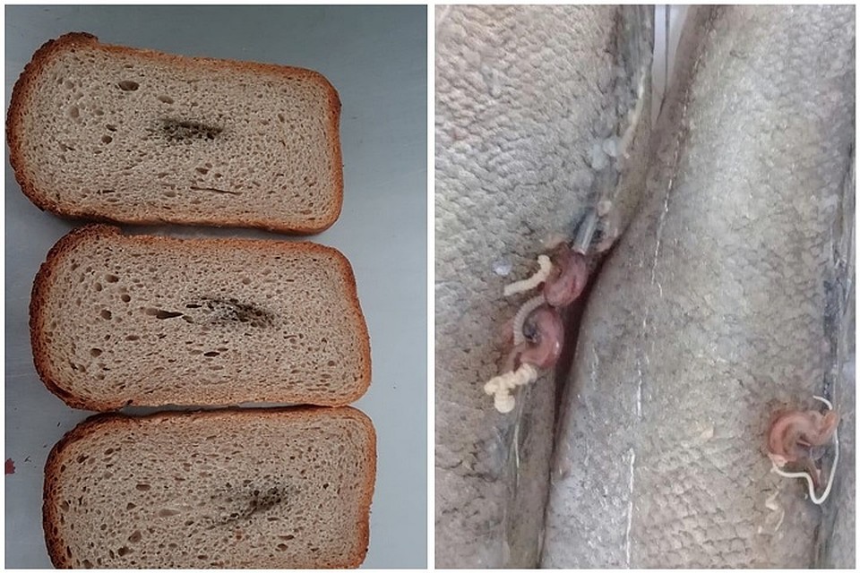 В одном из детских садов Кишинева детей кормят тухлым мясом, рыбой с червями и хлебом с плесенью