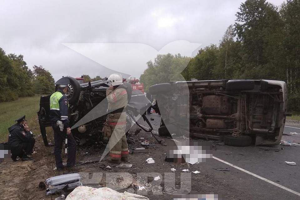 Фото: предоставлено очевидцем.