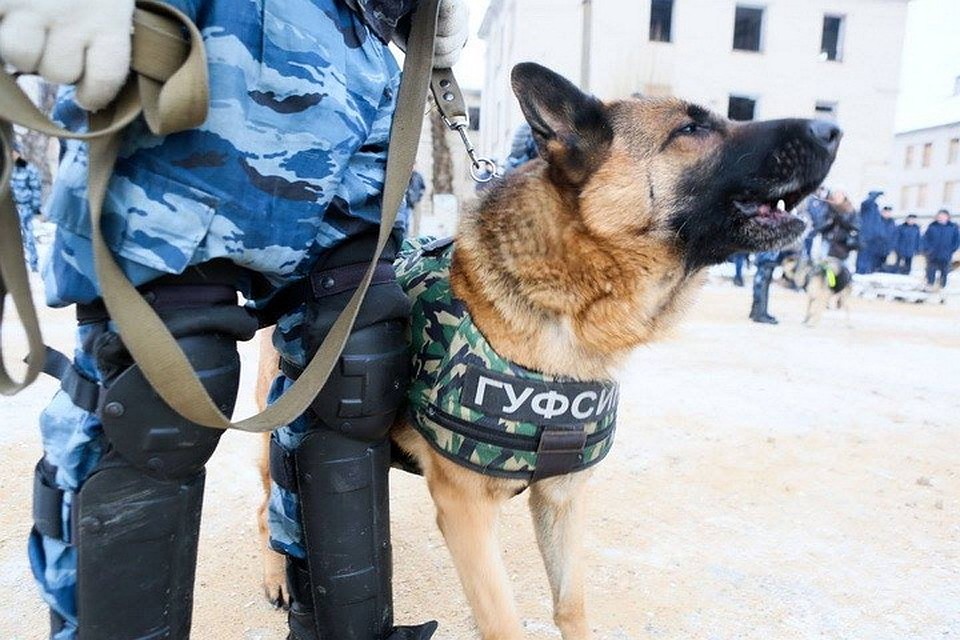 Бывший сотрудник колонии отправится в тюрьму за сбыт запрещённых веществ.