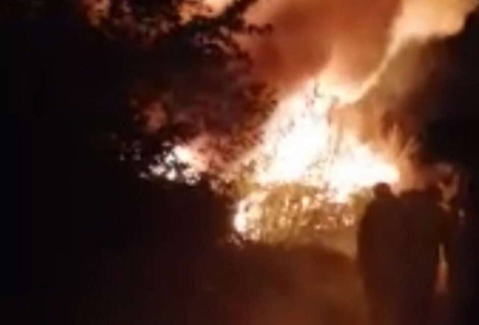 Фото: стоп-кадр видео