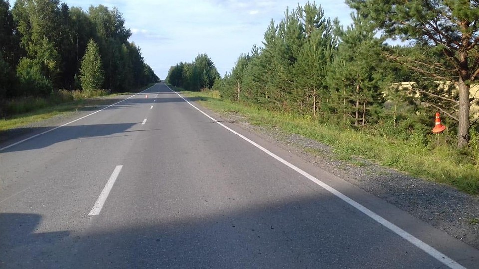 фото: пресс-служба УМВД по Томской области