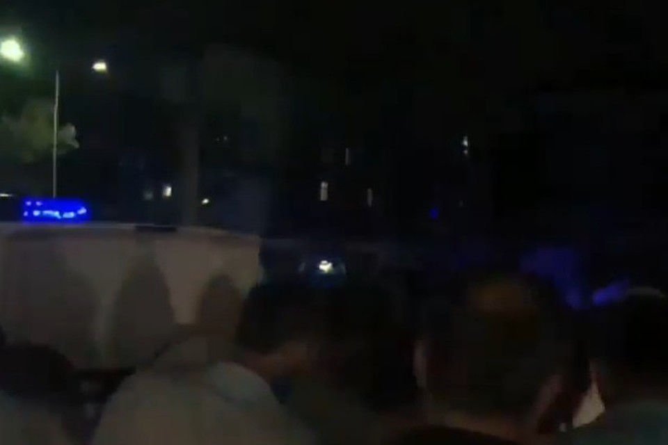 Задержанных пытаются завести в машину
