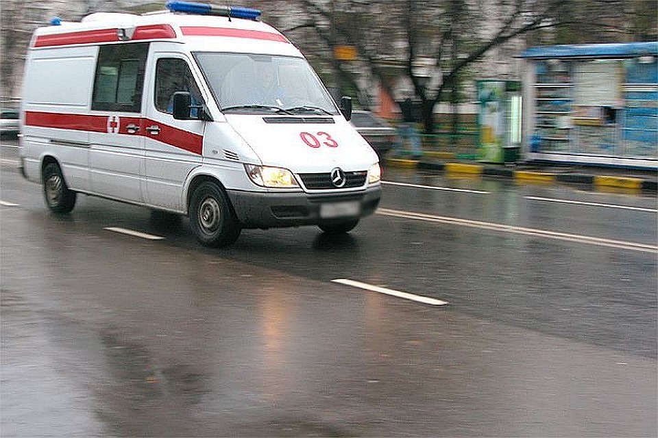В Подмосковье на дачном участке утонул ребенок