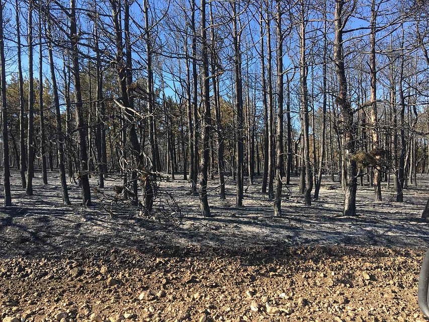 Пока полностью ликвидировать возгорание не удалось. Фото: пресс-служба МЧС РК