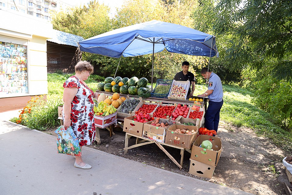 Фото: Администрация города Тулы