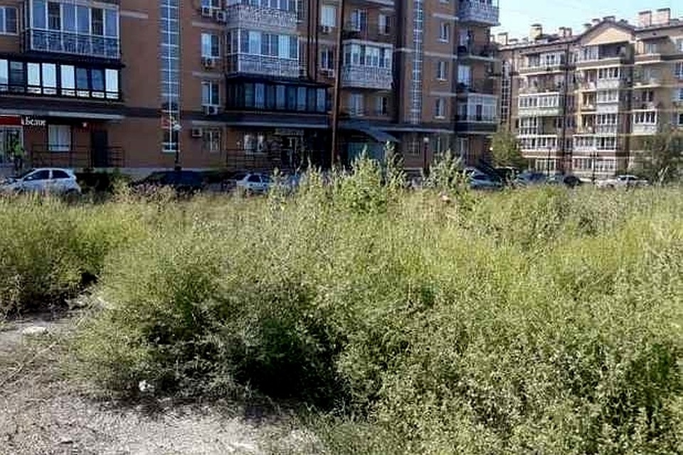 Фото: Правительство РО