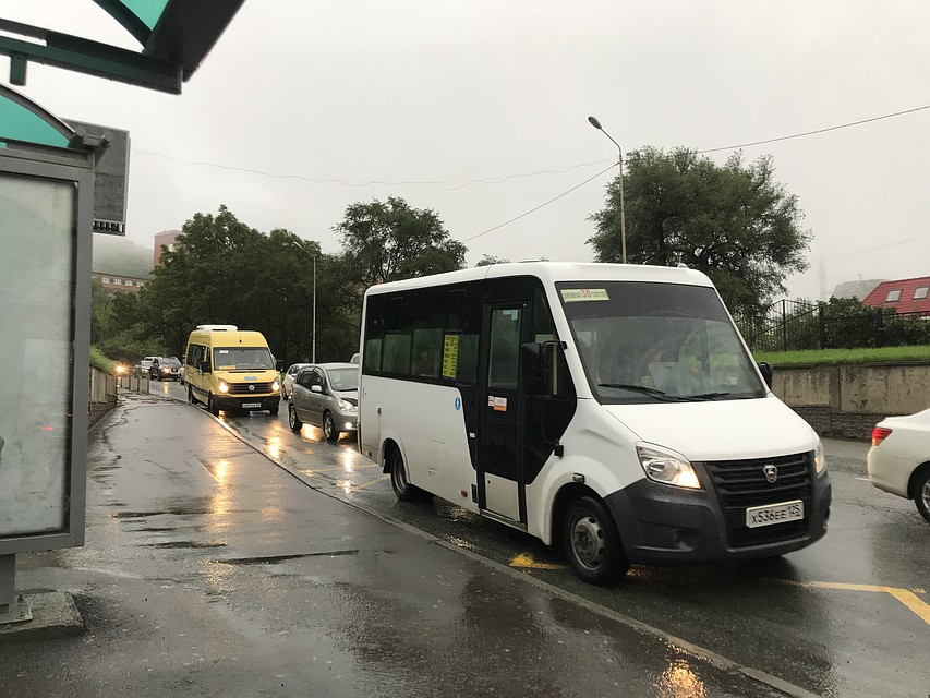 Во Владивостоке выпало 50 мм осадков утром 30 августа