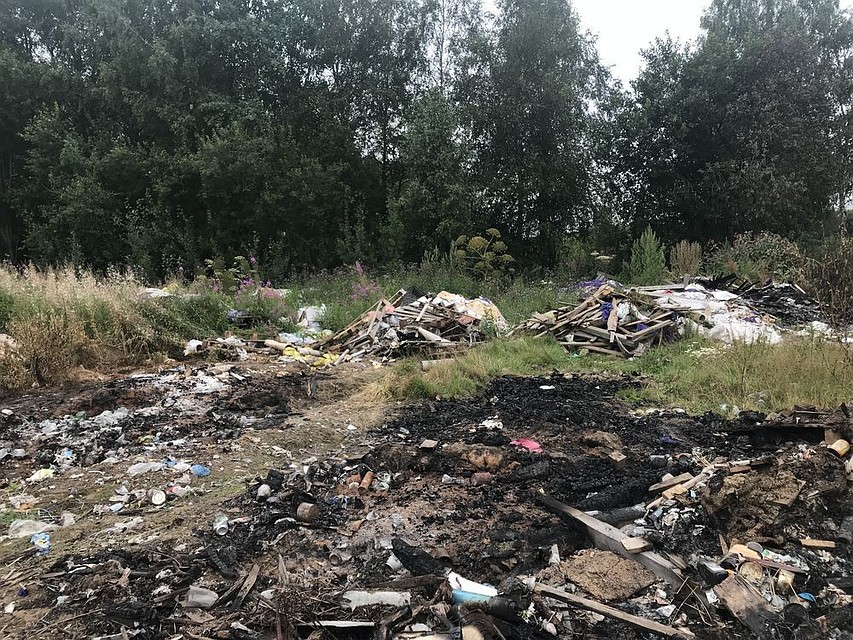 Свалку площадью около гектара нашли недалеко от деревни Саначино Фото: пресс-служба Управления Россельхознадзора по Тверской области
