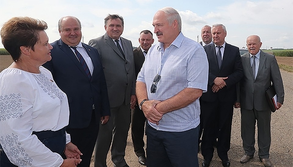 Лукашенко 31 августа проверяет уборку урожая в Смолевичском районе. Фото: president.gov.by
