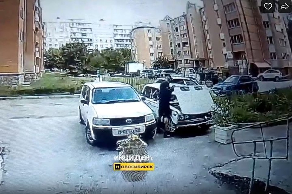 Момент, как жулики воровали, попал на видео. Фото: «Инцидент Новосибирск».