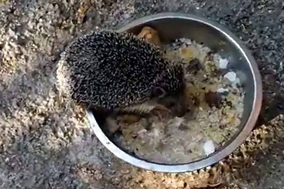 -