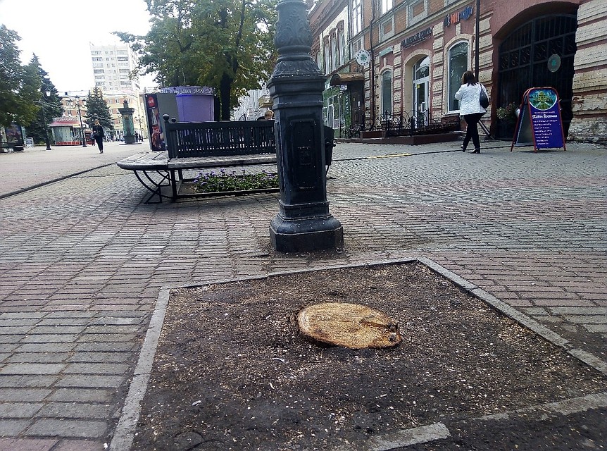 А вот и следы преступного отношения человека к природе. Фото: "Гражданский патруль".
