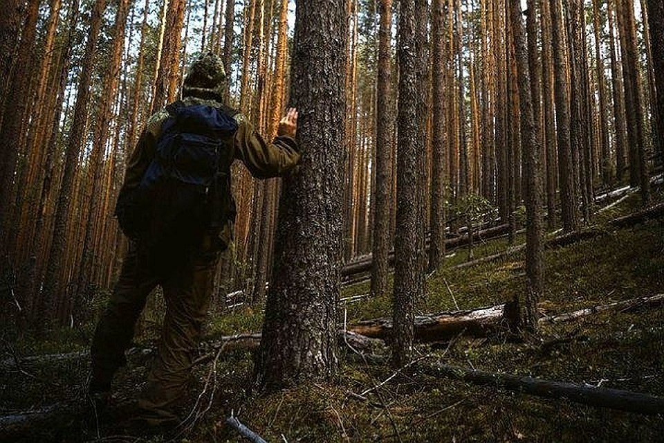 Ребята натерпелись страху, оставшись в лесу ночью одни