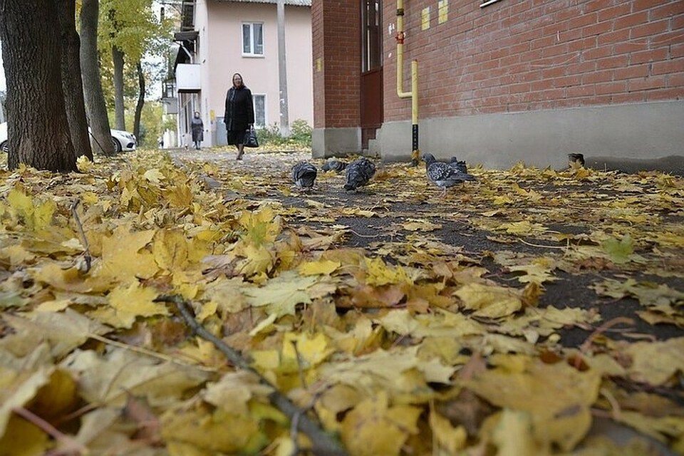 Воздух прогреется до +29 градусов