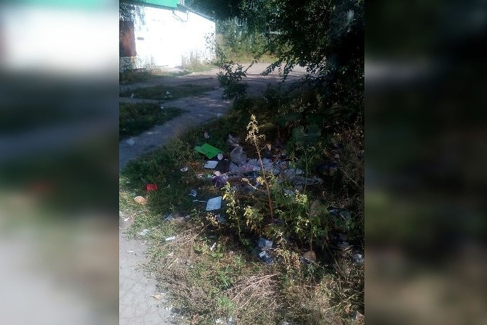 По словам местных жителей, мусор на остановке бросают работники общественного транспорта. Фото: vk.com/typical_zatulinka.