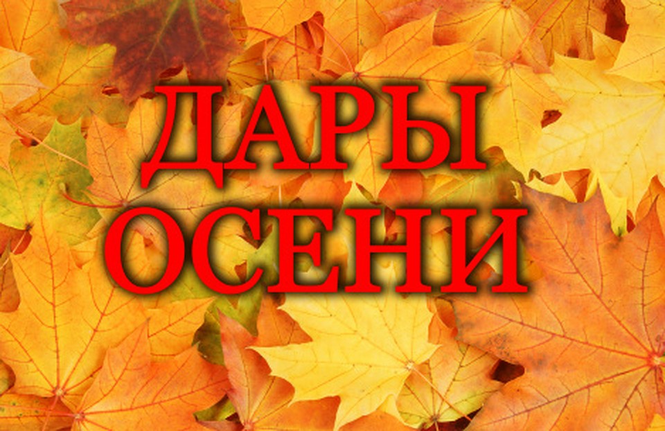 В Ханты-Мансийске на ярмарке «Дары осени» продукцию предложат 50 товаропроизводителей