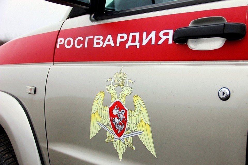 Фото: ГУ Росгвардии по Краснодарскому краю