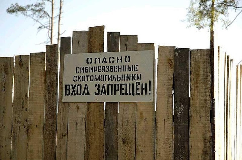 Патрушев предупредил о высоких рисках распространения сибирской язвы на юге России