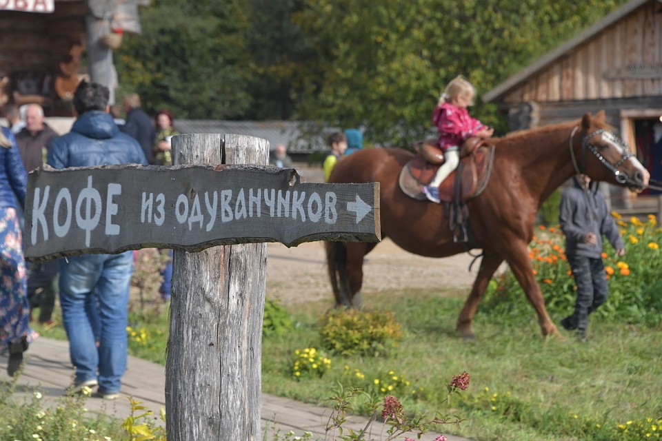 Выставка-ярмарка, которую сам Стерлигов величает Всероссийским съездом новых русских крестьян, открылась уже в восьмой раз