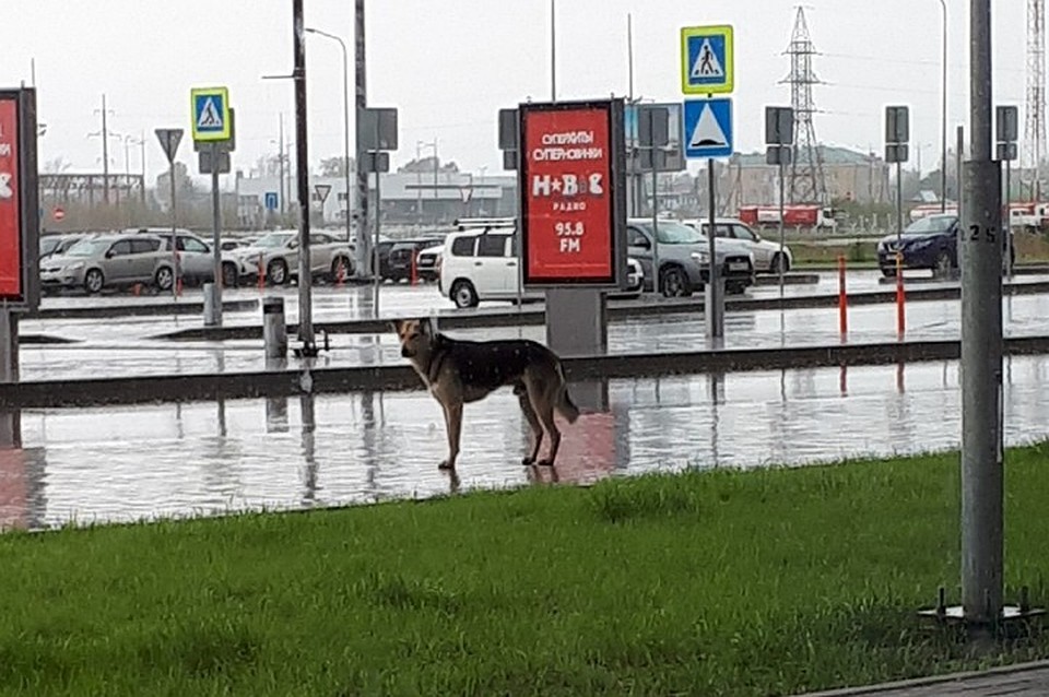 Фото: группа Вконтакте "Подслушано Пермь"