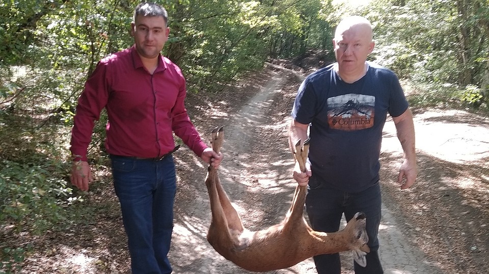 Вызволить животное оказалось сложной задачей. Фото: пресс-службе Минприроды РК