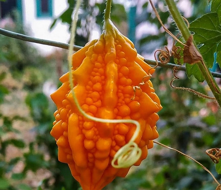 фото: chudstav