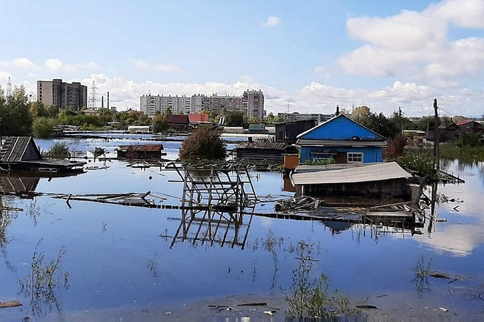 В Хабаровском крае подсчитали ущерб сельхозпроизводителей от паводка