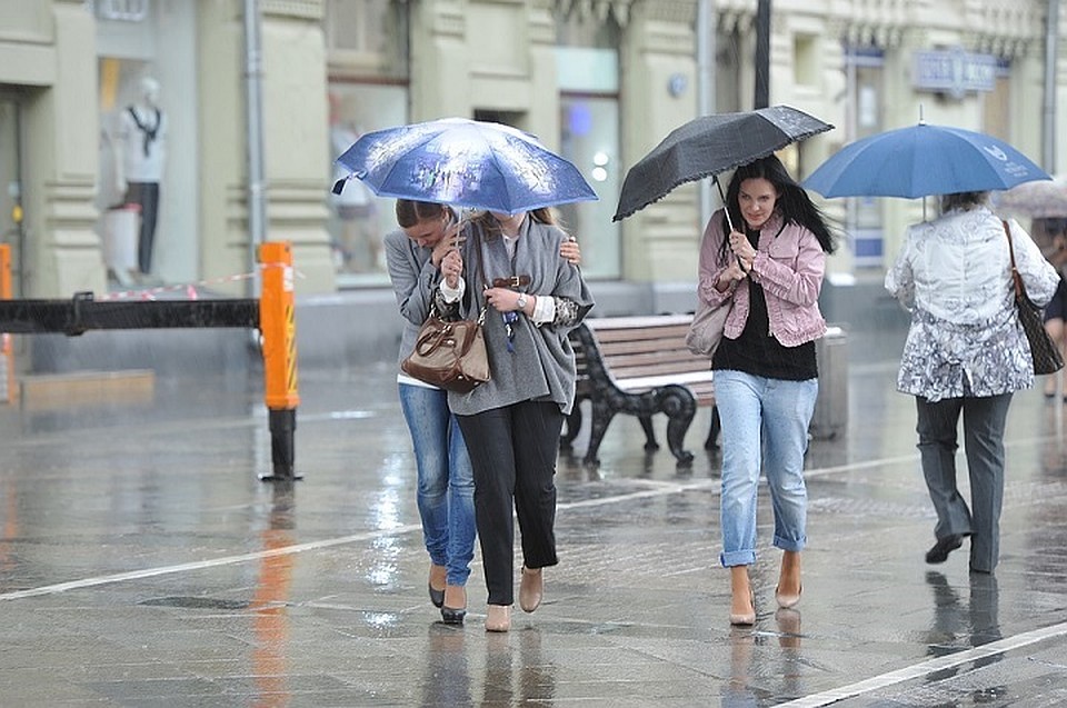Непогода продлится ровно сутки