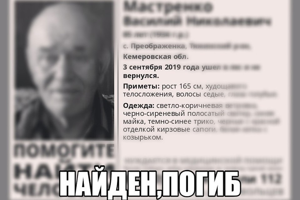 В Кузбассе завершены поиски пропавшего в лесу 85-летнего пенсионера
