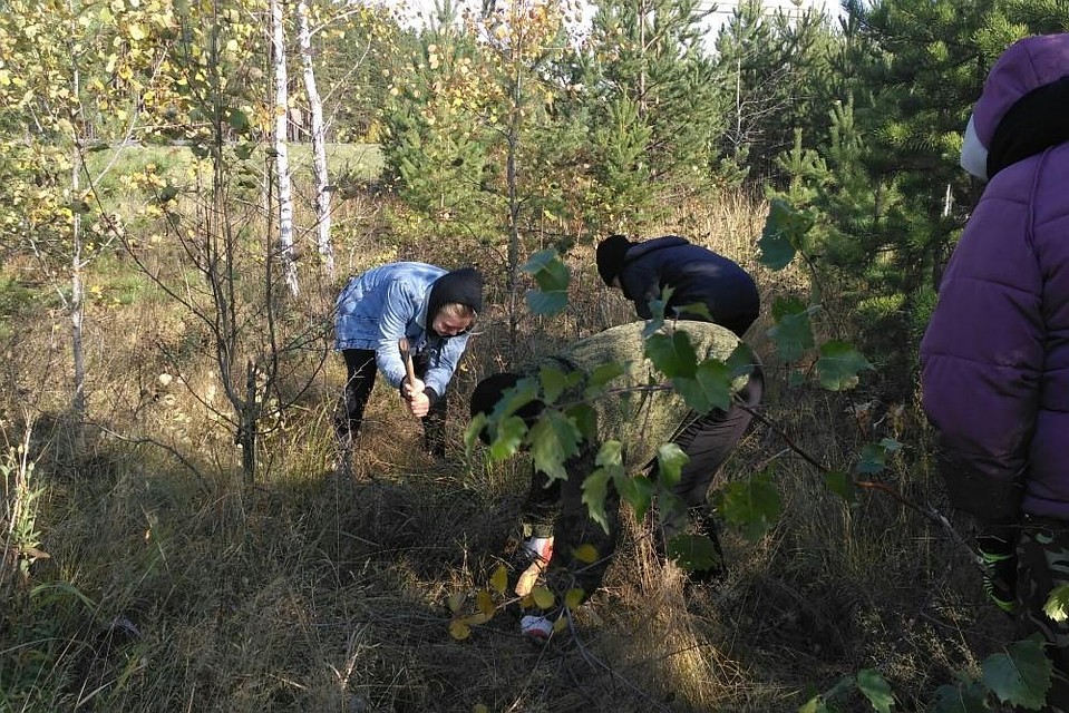 В Тюменской области для студентов-лесников проводят выездные занятия