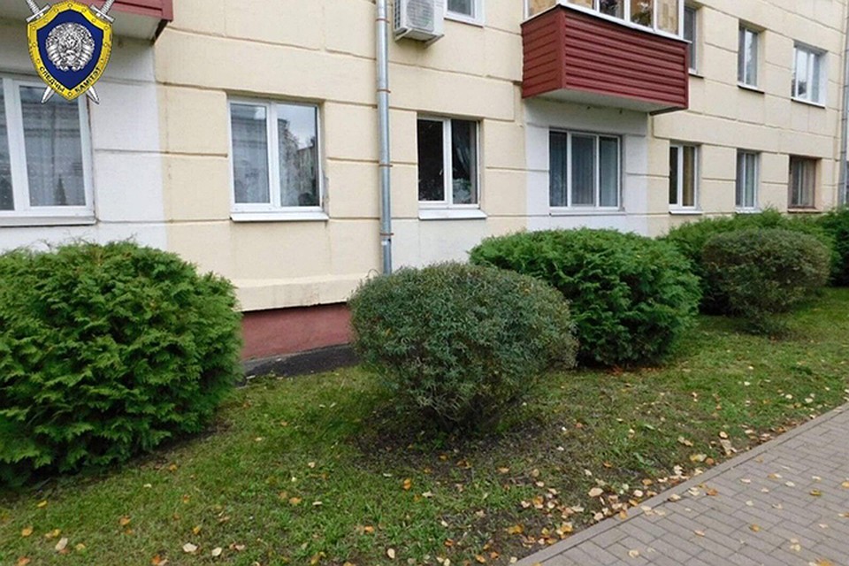 Двухлетний мальчик выпал из окна пятого этажа и почти не пострадал. Фото: Следственный комитет.