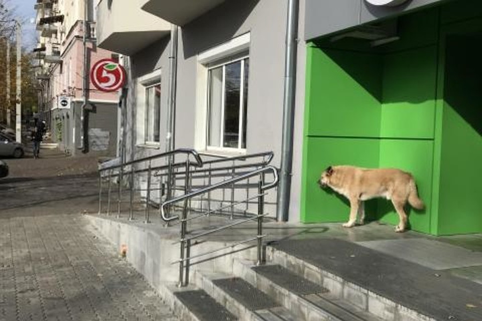 Фото: Марат Х.