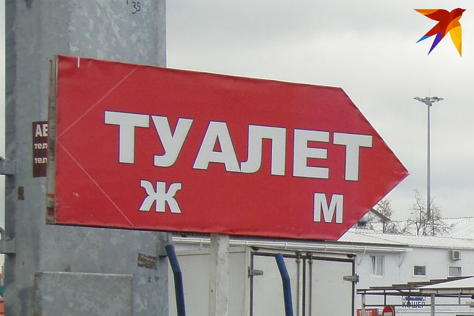 Пять туалетных кабинок должны появиться в зонах отдыха Мурманска до декабря.