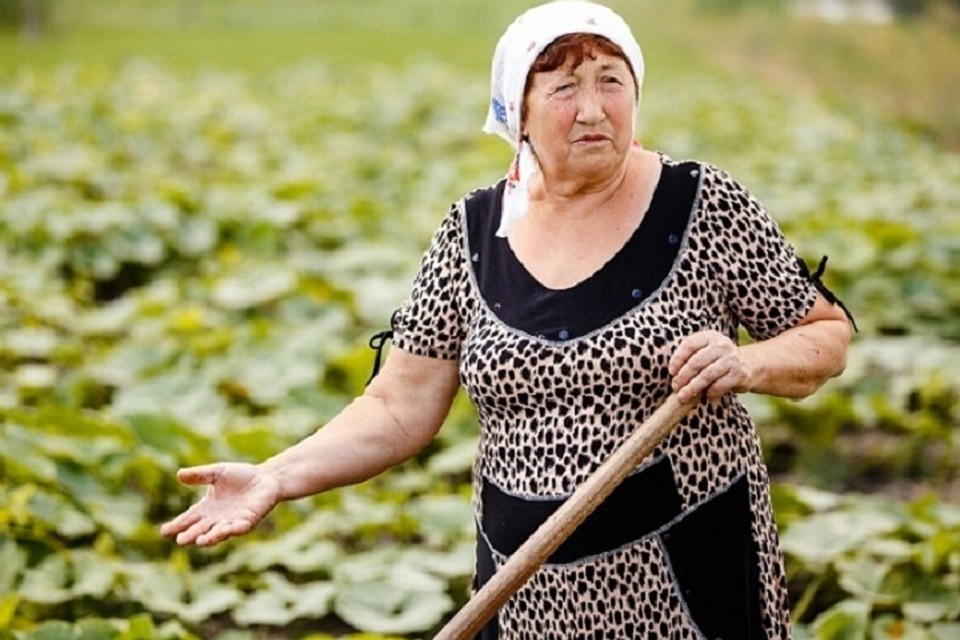 Все готовы работать, лишь бы платили адекватно.